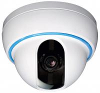 NEOSTAR WDR Farb Dome-�berwachungskamera 1/3