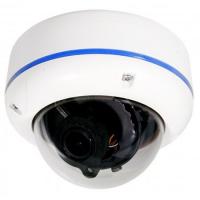 Vandalensichere Dome-Kamera, SONY SuperHAD II CCD 600TVL/700TVL,2,8-12mm Objektiv-BMC-D305
