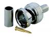 BNC Anschlu�stecker f�r unsere RG59 Videoleitungen